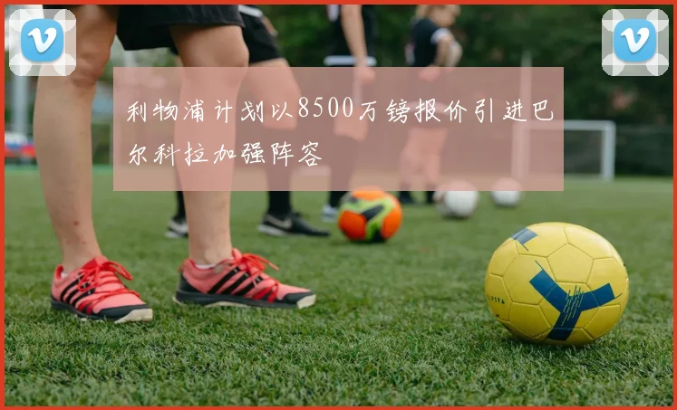 利物浦计划以8500万镑报价引进巴尔科拉加强阵容